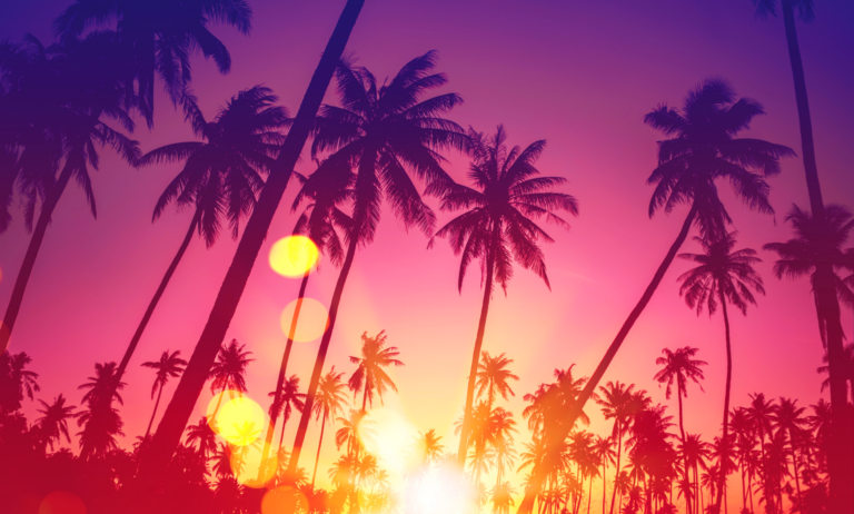 Miami Homeowners Insurance