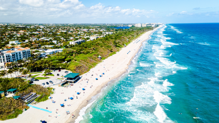 Florida Insurance Guide 2023