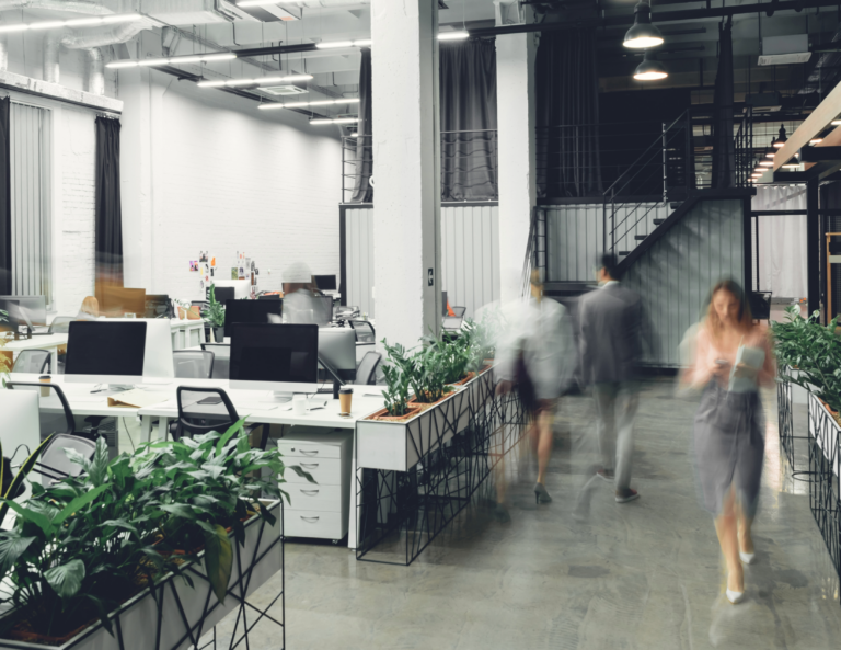 Public Liability Insurance: Small to Large Sized Business